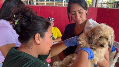 Brindan salud gratuita a 150 animales de compañía en Alto de los Godos