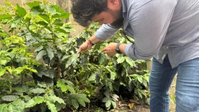 Potencia Cafetalera: Monagas impulsa formación estratégica para productores en Caripe