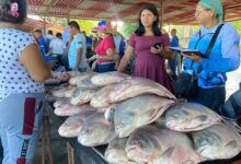 Venden 3 mil kilos de pescado en feria especial de Semana Santa en Sotillo
