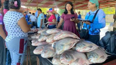 Venden 3 mil kilos de pescado en feria especial de Semana Santa en Sotillo