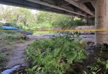 Hallan cadáver de un Polimonagas en el río Guarapiche