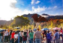 Despliegan operativo en balnearios y templos de Monagas