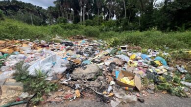 Vecinos de Santa Elena de Las Piñas denuncian bote de basura creado por habitantes de Tipuro