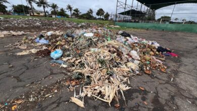 Malos olores genera preocupación a los consumidores y vecinos del mercado El Avión