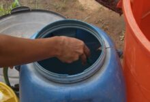 Fallas de agua en el sector 8 de Marzo afecta la vida cotidiana de más de 500 familias