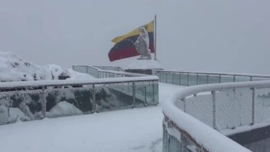 Video: Espectacular nevada cubre el Pico Espejo