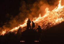 México: Incendios forestales consumen más de 57 mil hectáreas en lo que va de 2026