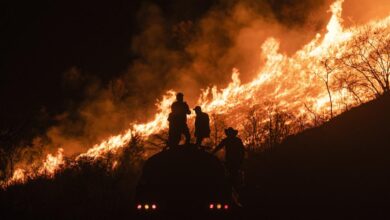 México: Incendios forestales consumen más de 57 mil hectáreas en lo que va de 2026