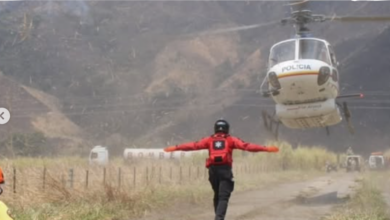 Combaten incendios forestales en los parques nacionales Henri Pittier y Macarao