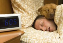 Día Mundial del Sueño: La importancia de dormir bien para una salud integral