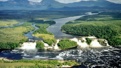 Activan portal web para denuncias ambientales en Venezuela