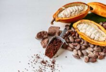 Venezuela será el país homenajeado en el festival ShowColat de Francia