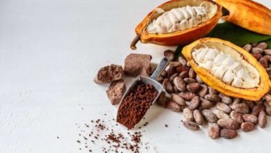 Venezuela será el país homenajeado en el festival ShowColat de Francia