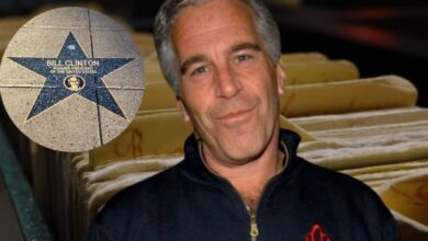 Un "Paseo de la vergüenza" dedicado al caso Epstein apareció en Washington con estrellas y QR