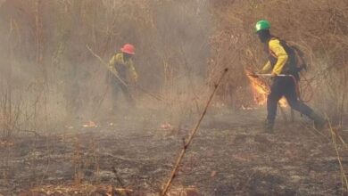 Anzoátegui: 27 incendios forestales en cinco días dejan cuatro heridos graves