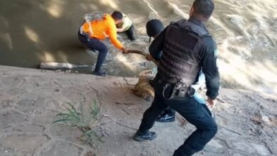 Rescatan a un hombre tras ser arrastrado por el río Guaire en Caracas