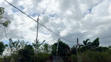 Establecer el sistema eléctrico es la prioridad en los proyectos comunales en Renacer