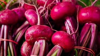 ¿Por qué la remolacha es el mejor aliado para tu corazón? Conoce sus beneficios