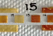 Universidad de México desarrolla un parche dérmico para el control de la hipertensión