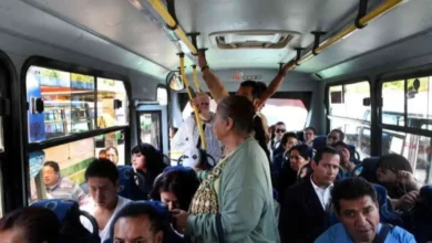 "Gordas pagan por kilo": La frase que le costó una sanción administrativa a un chofer