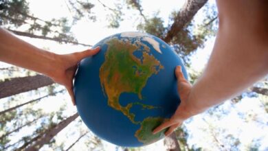 Día Internacional de la Madre Tierra: Un llamado a la acción contra la crisis climática