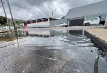 Aguas estancadas de desechos de comida generan foco de contaminación en la calle Monagas