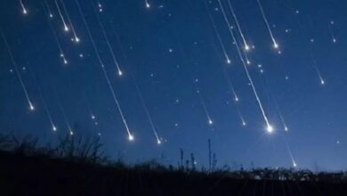 ¡Mira al cielo! Esta noche las Líridas regalan un espectáculo de estrellas fugaces