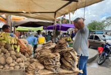 Feligreses mantienen viva la tradición de comer pescado en Semana Santa