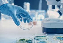 Científicos chinos descubren que el suelo lunar es ultrarresistente al calor