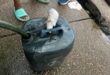 Reportan deficiencia de agua en el sector la Libertad