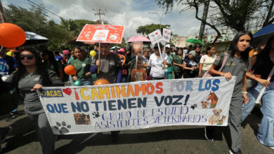 Realizan caminata en rechazo al maltrato animal en Maturín