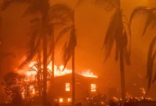 Más de 50 casas quemadas por incendios forestales en EEUU