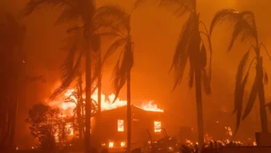 Más de 50 casas quemadas por incendios forestales en EEUU