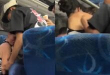 Niño muere tras sacar la cabeza por la ventana de un autobús y ser impactado por otro vehículo