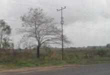 Incendio en zona de vegetación al sur de Maturín afecta a las comunidades de Parare