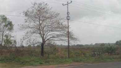 Incendio en zona de vegetación al sur de Maturín afecta a las comunidades de Parare