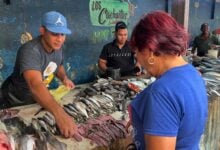 Vendedores del Mercado de Los Bloques reportan escasez de sardina fresca