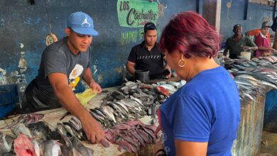 Vendedores del Mercado de Los Bloques reportan escasez de sardina fresca