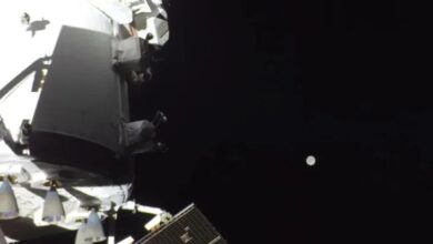 La Nasa confirma que misión Artemis II va a mitad de camino hacia la Luna