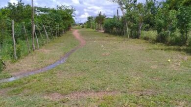 Vecinos de Villa de Amana en El Furrial solicitan culminación del pozo de la comunidad v