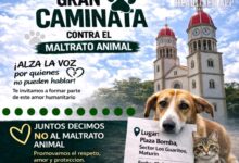 Proteccionistas de Maturín marcharán este miércoles contra el maltrato animal