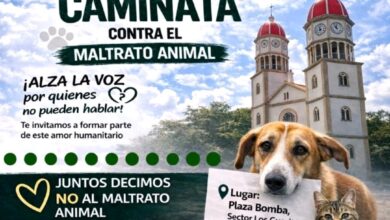 Proteccionistas de Maturín marcharán este miércoles contra el maltrato animal