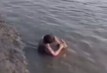 ¿Vínculo real o peligro mortal? El polémico video de un niño cepillándole los dientes a un caimán