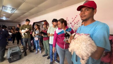 Misión Nevado ha beneficiado a más de 42 mil mascotas en el primer trimestre del año