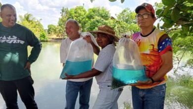 Cenipa, UBV y Unacom inician proyecto acuícola comunal al oeste de Maturín