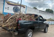 Sancionan a tres personas por arrojar basura en espacios públicos de Maturín