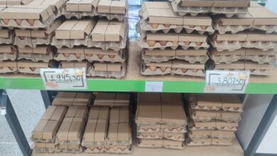 Maturineses siguen reportando el aumento del cartón de huevos