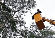 Corpoelec optimiza el circuito Potrerito para beneficiar a 3 mil monaguenses