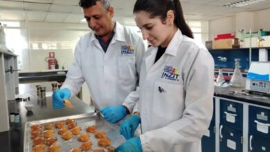 Científicos venezolanos transforman residuos de cangrejo azul en tratamiento de quemaduras