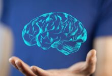 Descubren cómo el síndrome de Down afecta al cerebro antes del nacimiento